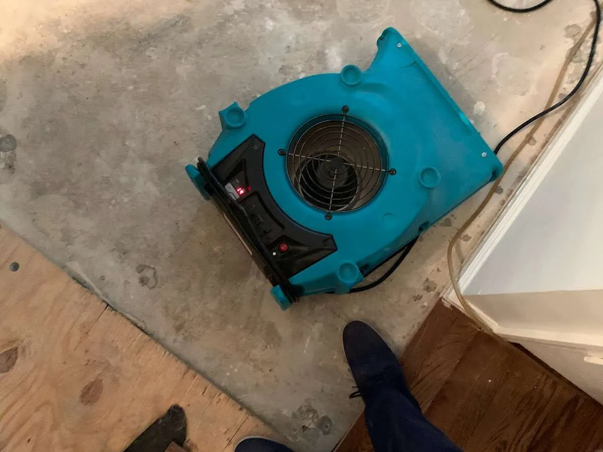 Air mover drying subfloor during Leak Detection & Repair in Hobart